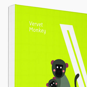 V is for Vervet Monkey