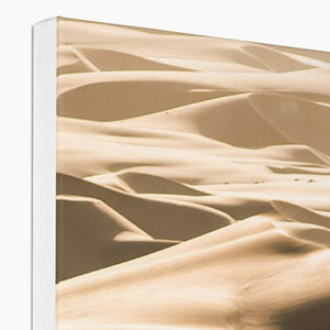 Desert Walker Canvas