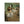 Laden Sie das Bild in den Galerie-Viewer, Degas | The Dance Class | 1874 Canvas
