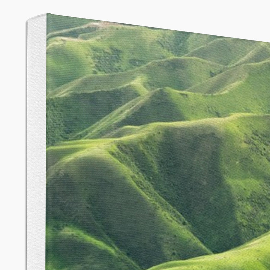 Grassland Curves Canvas