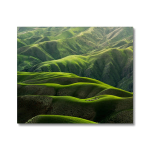 Grassland Curves Canvas