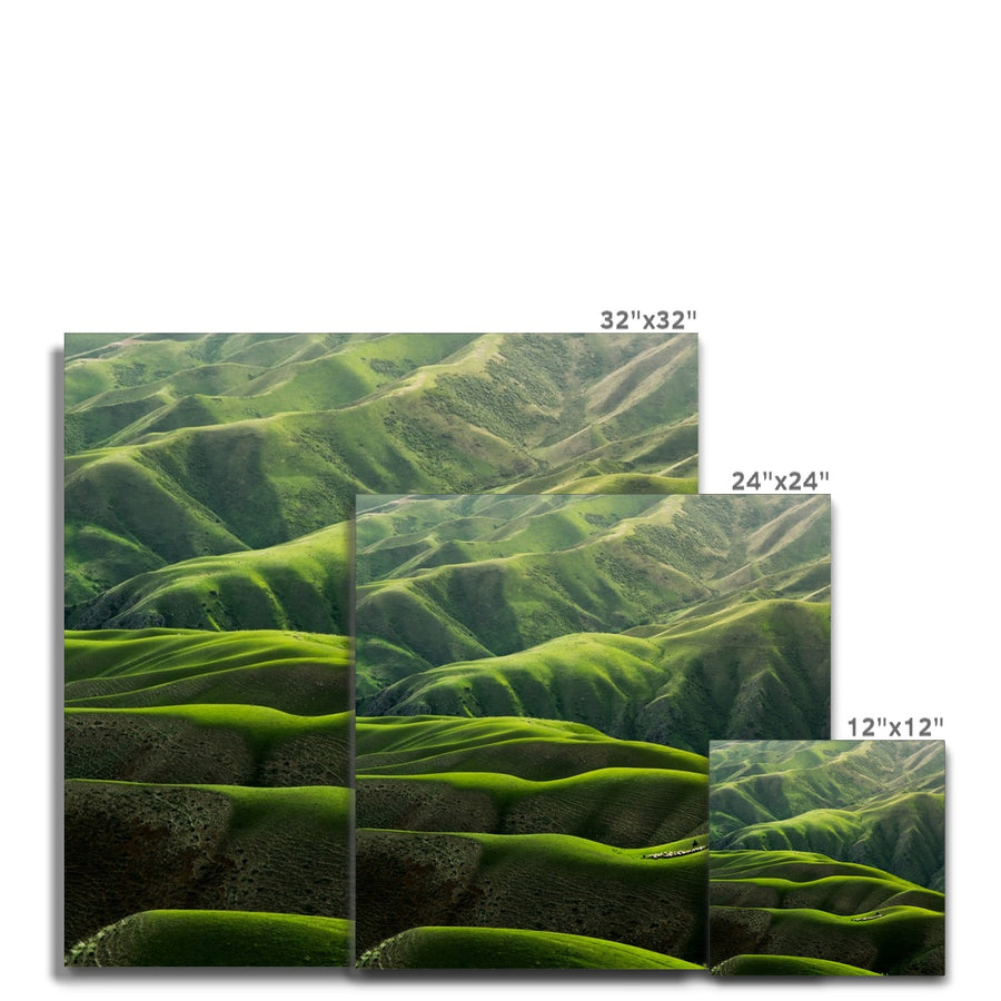 Grassland Curves Canvas