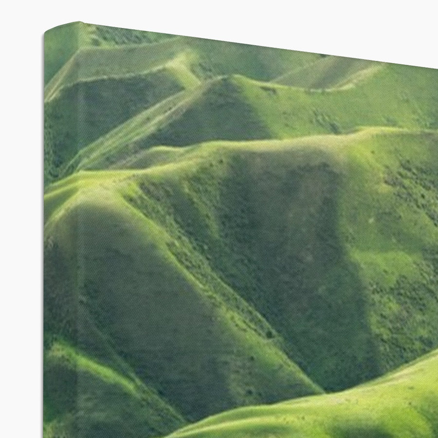 Grassland Curves Canvas