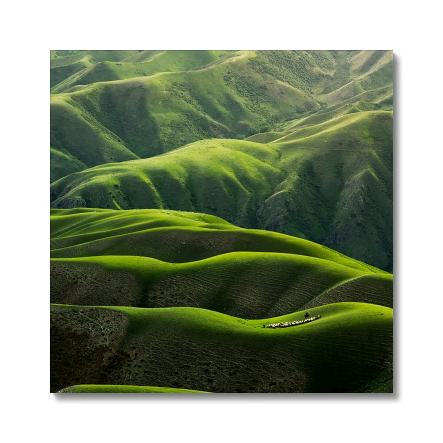 Grassland Curves Canvas