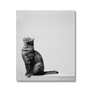 Cat on the Edge Canvas