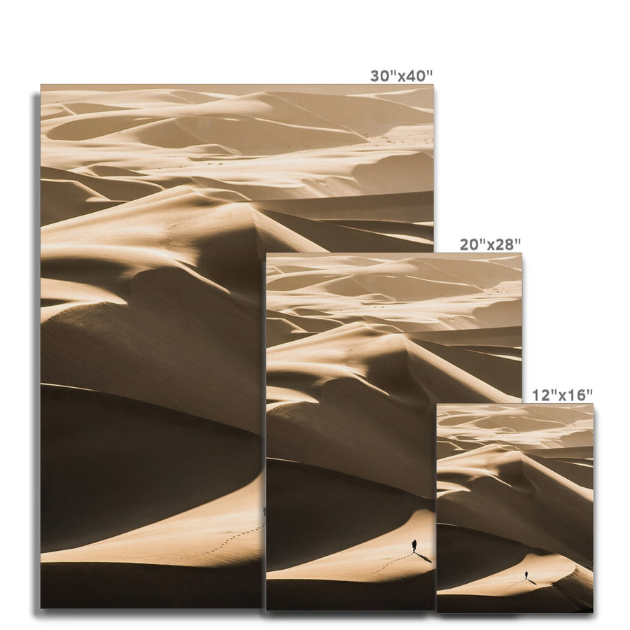 Desert Walker Canvas