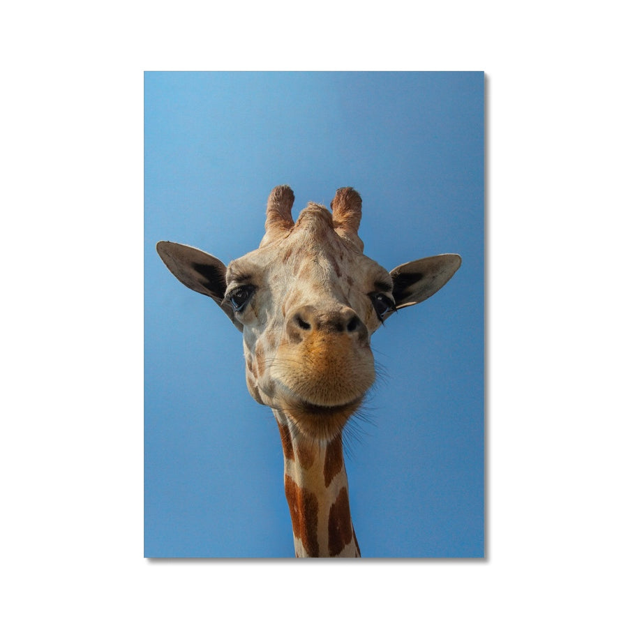 Giraffe Blues Canvas