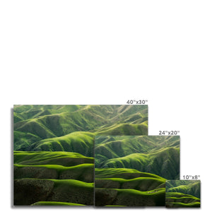 Grassland Curves Canvas