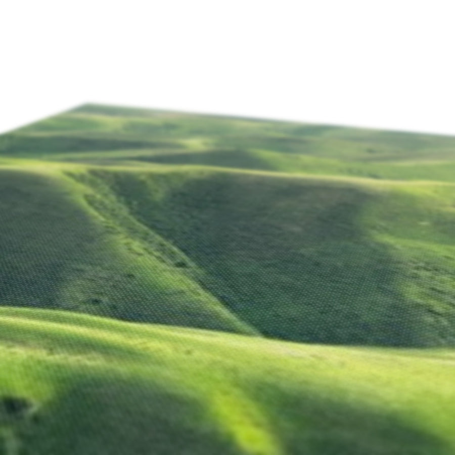 Grassland Curves Canvas