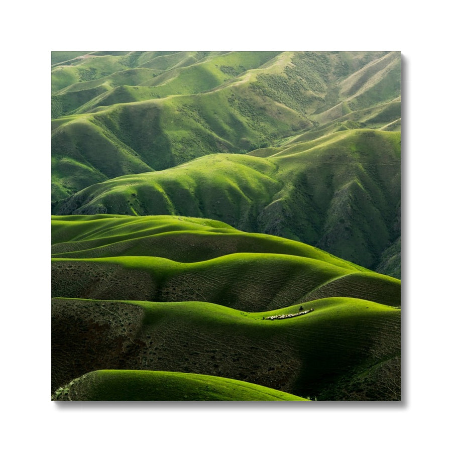 Grassland Curves Canvas