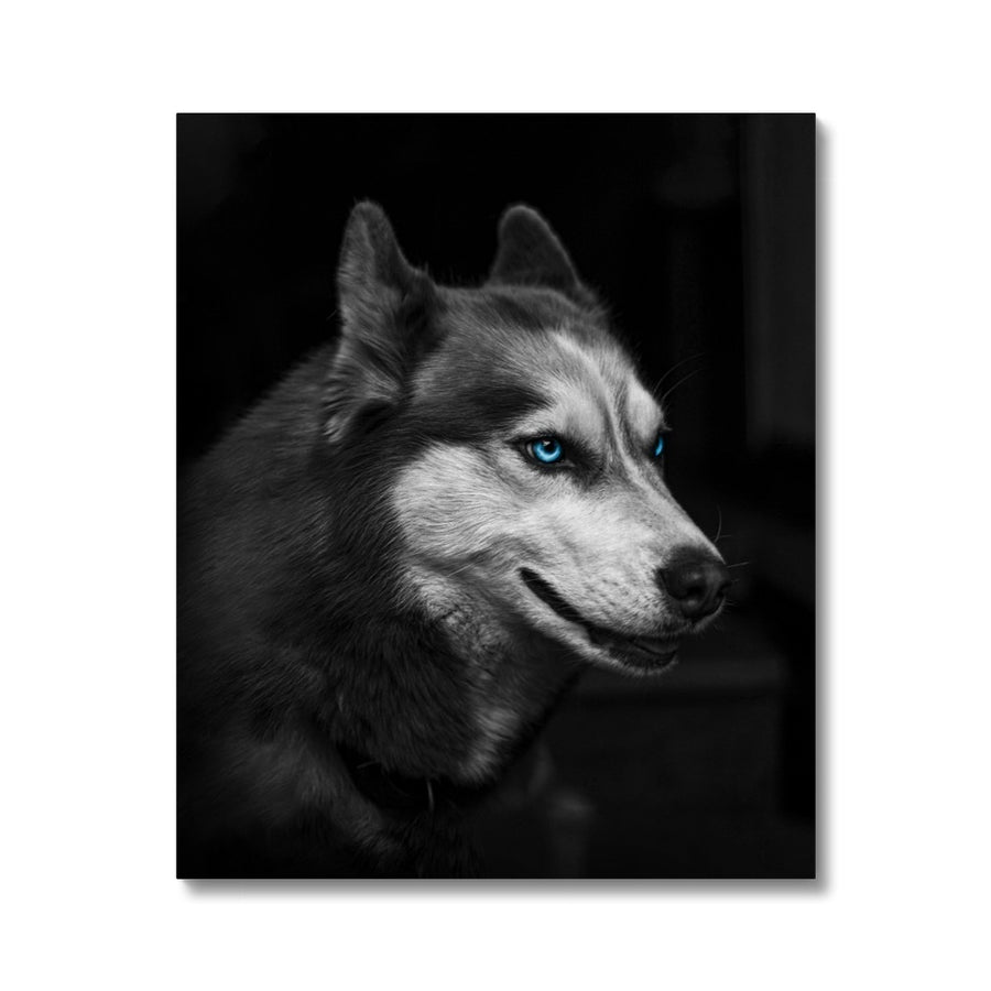 Monochrome Blue-eyed Dog Canvas