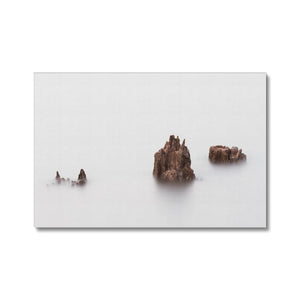 Tree Stumps in the Lake Canvas