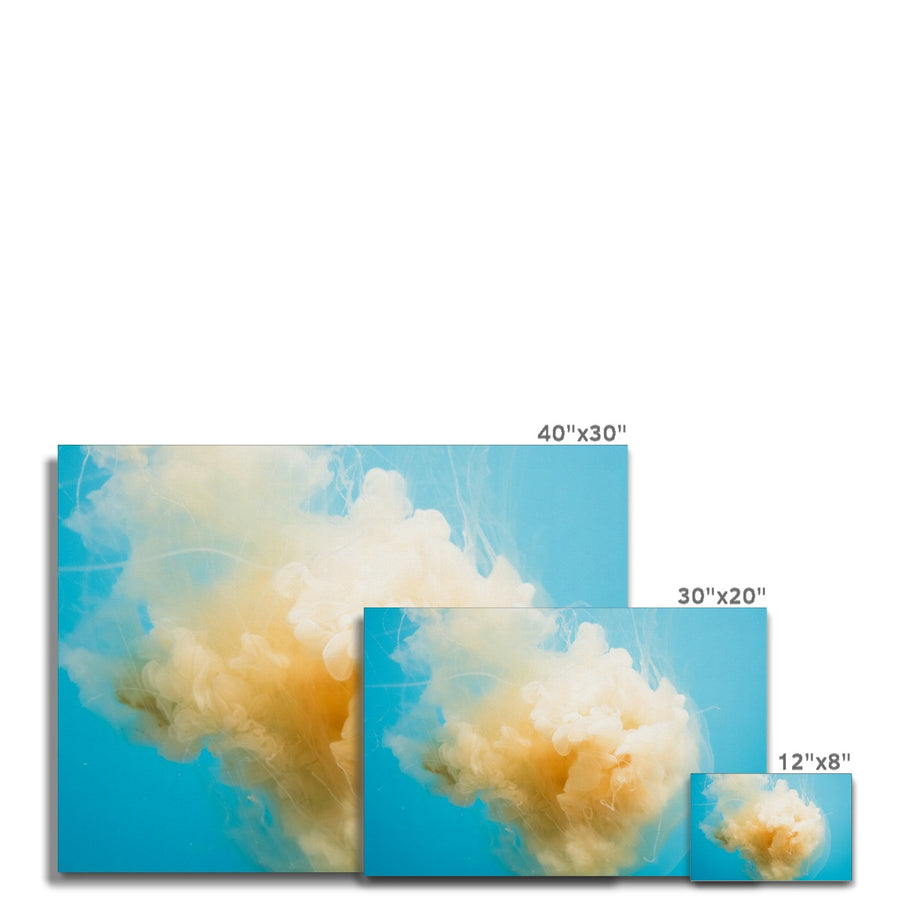 Jellyfish Cloud Canvas