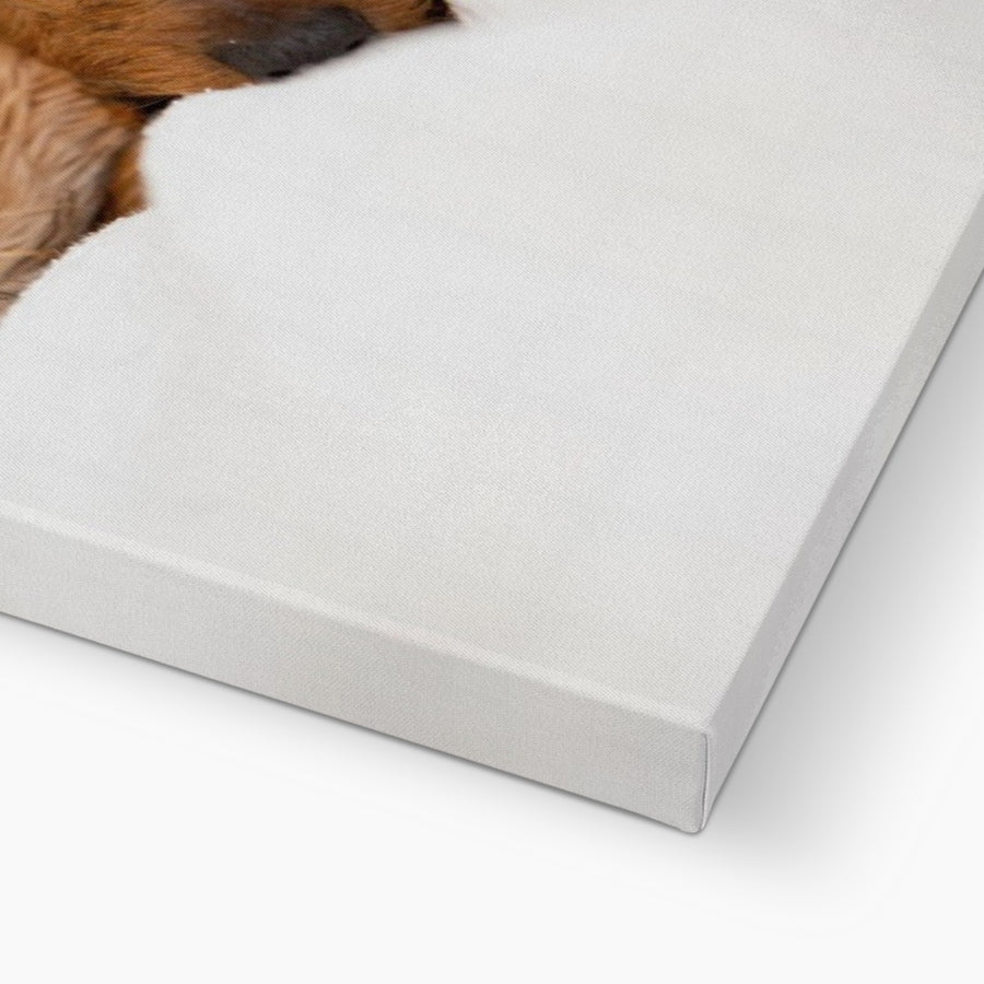 Doggy Day Bed Canvas