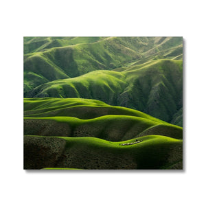 Grassland Curves Canvas