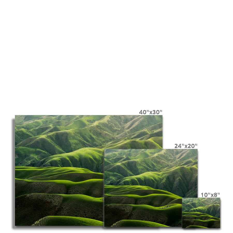 Grassland Curves Canvas