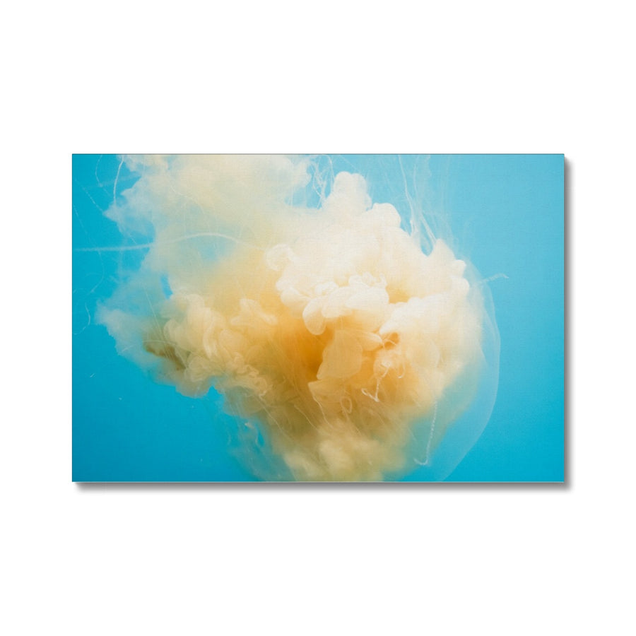 Jellyfish Cloud Canvas