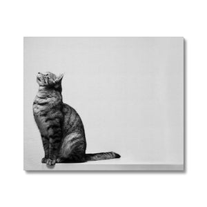 Cat on the Edge Canvas