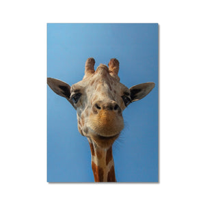 Giraffe Blues Canvas