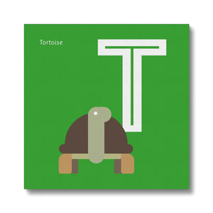T is for Tortoise