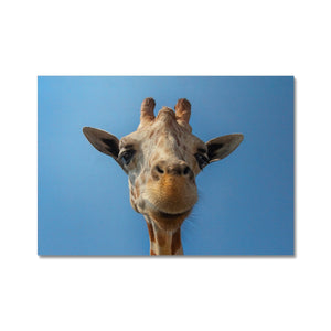 Giraffe Blues Canvas