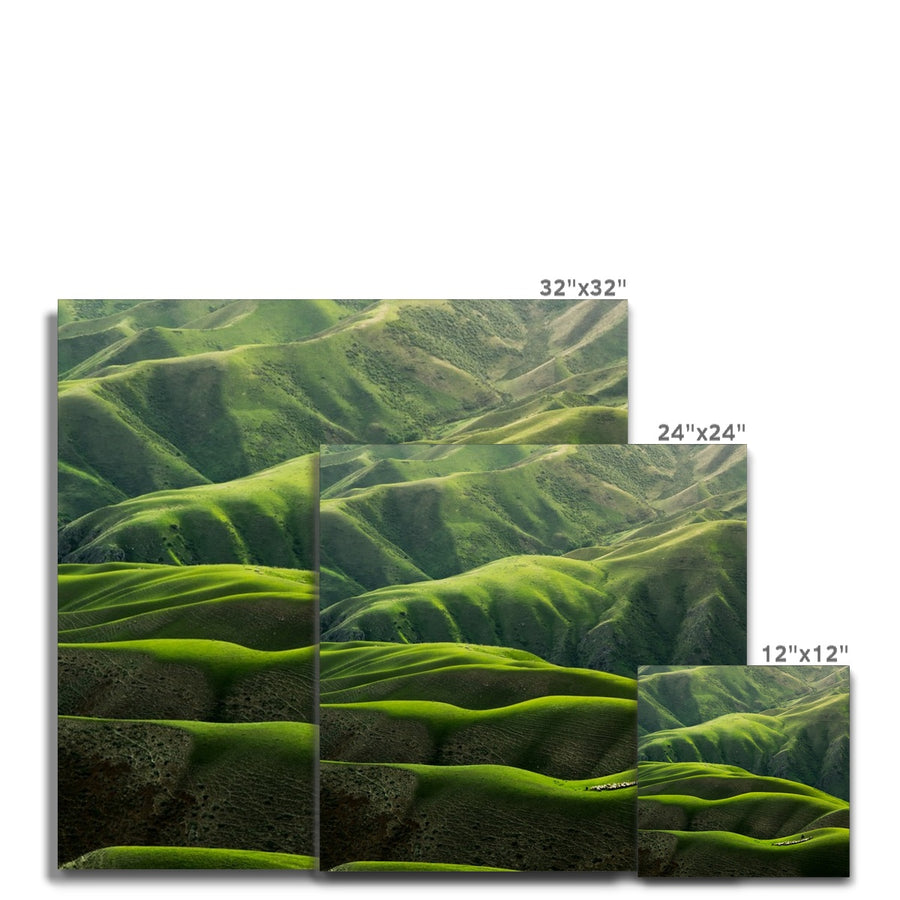 Grassland Curves Canvas